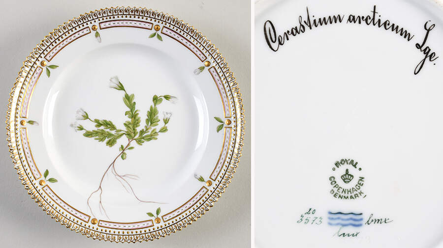 Flora Danica (1961 To Current) Salad Plate-Cerastium Arcticum Lge by Royal Copenhagen-1