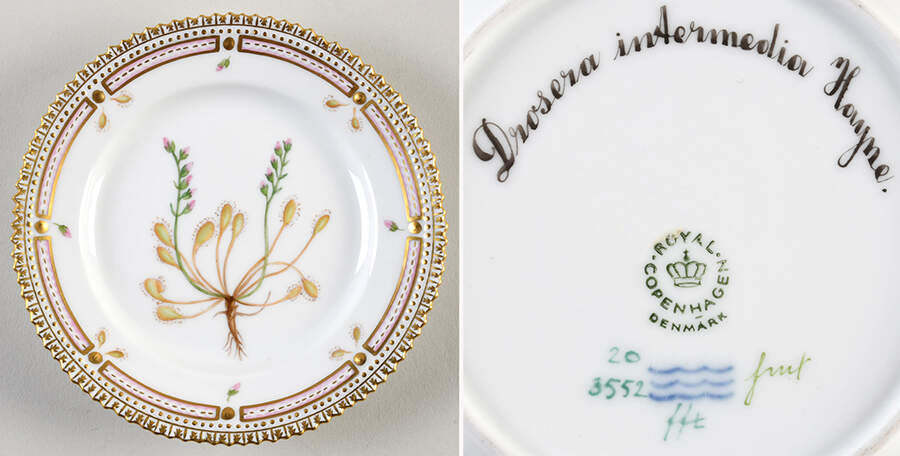 Flora Danica (1961 To Current) Bread & Butter Plate-Drosera intermedia Hayne by Royal Copenhagen-1