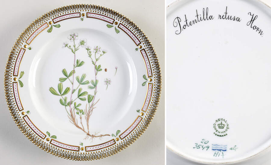 Flora Danica (1961 To Current) Dinner Plate-Potentilla Tridentata Sol by Royal Copenhagen-1