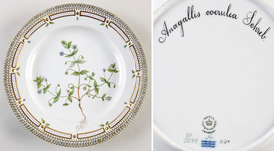 Flora Danica (1961 To Current) Dinner Plate-Anagallis coerulea Schrel. by Royal Copenhagen-1
