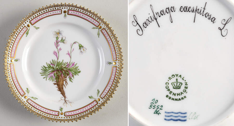 Flora Danica (1961 To Current) Bread & Butter Plate-Saxifraga caespiosa L. by Royal Copenhagen-1