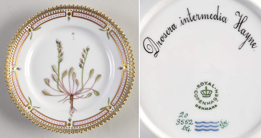 Flora Danica (1961 To Current) Bread & Butter Plate-Drosera intermedia Hayne. by Royal Copenhagen-1