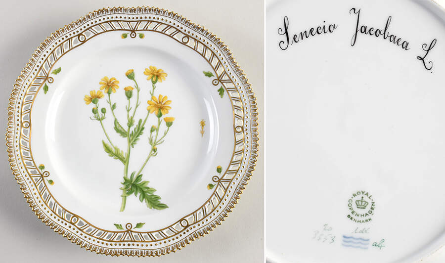 Flora Danica (1961 To Current) 10" Pierced Dinner Plate/Fruit Std - Senecio jacobaca L. by Royal Copenhagen-1
