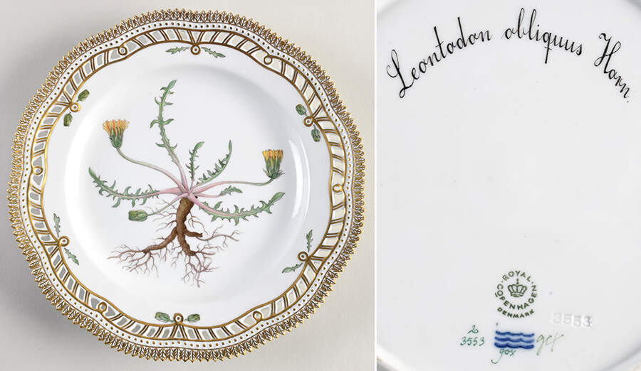 Flora Danica (1961 To Current) 10" Pierced Dinner Plate/Fruit Std - Leontodon obliquus Horn. by Royal Copenhagen-1