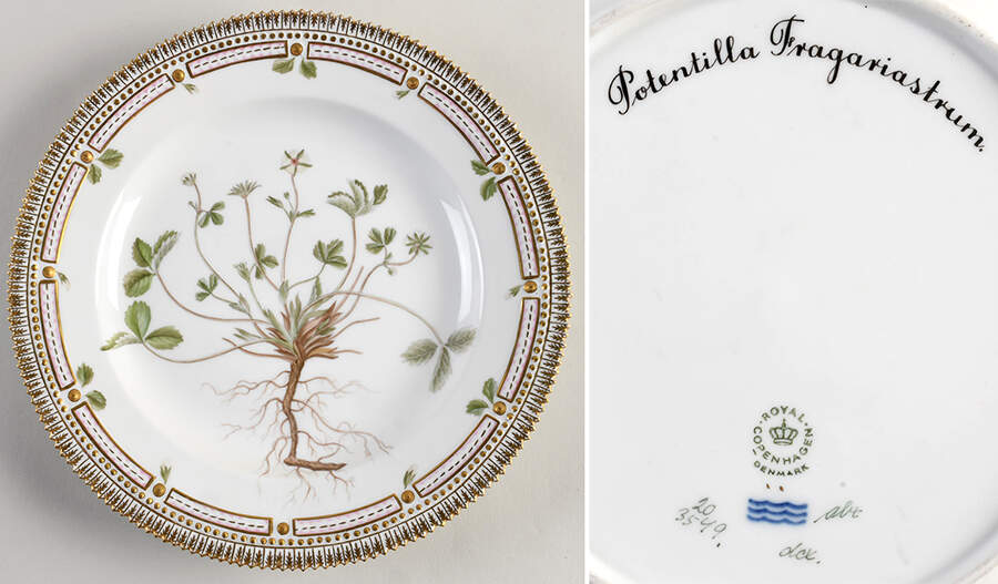 Flora Danica (1961 To Current) Dinner Plate - Potentilla fragariastrum by Royal Copenhagen-1