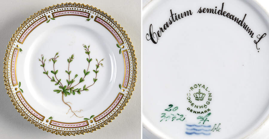 Flora Danica (1961 To Current) Bread & Butter Plate-Cerastium semidecandrum L. by Royal Copenhagen-1