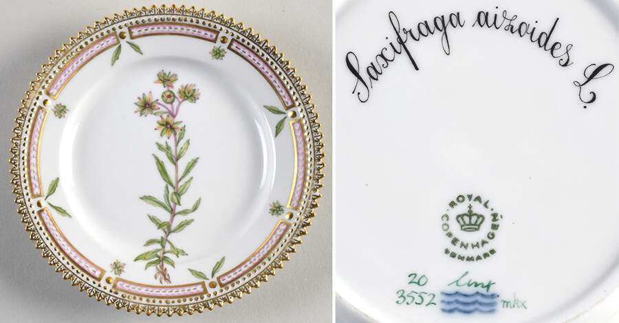Flora Danica (1961 To Current) Bread & Butter Plate-Saxifraga aizoides L. by Royal Copenhagen-1