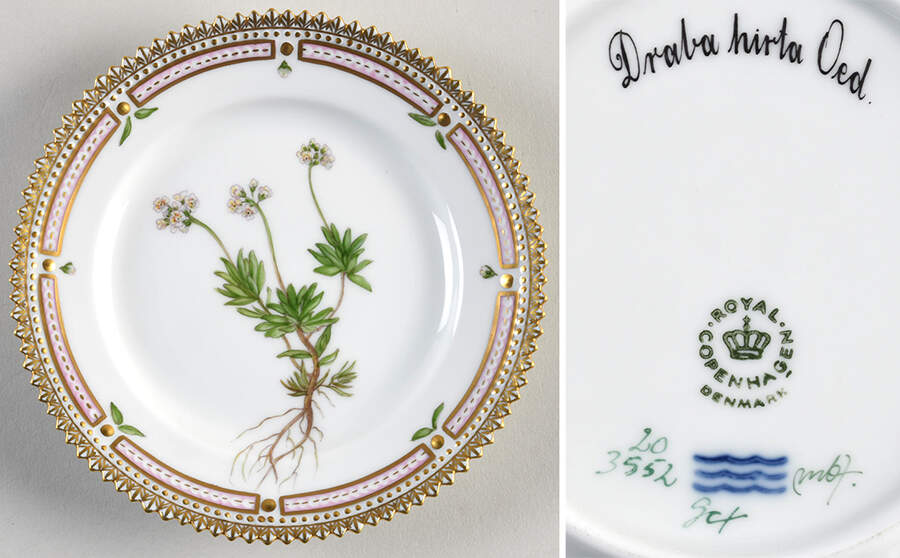 Flora Danica (1961 To Current) Bread & Butter Plate-Draba hirta Oed. by Royal Copenhagen-1