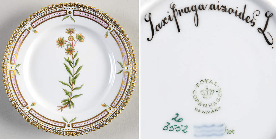 Flora Danica (1961 To Current) Bread & Butter Plate-Saxifraga aisaides L. by Royal Copenhagen-1