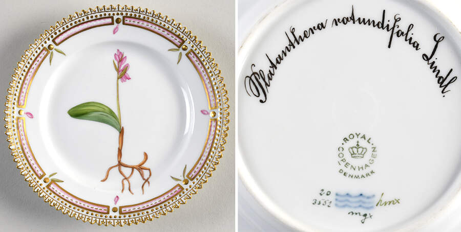 Flora Danica (1961 To Current) Bread & Butter Plate-Platanthera rotundifolia Lindl. by Royal Copenhagen-1