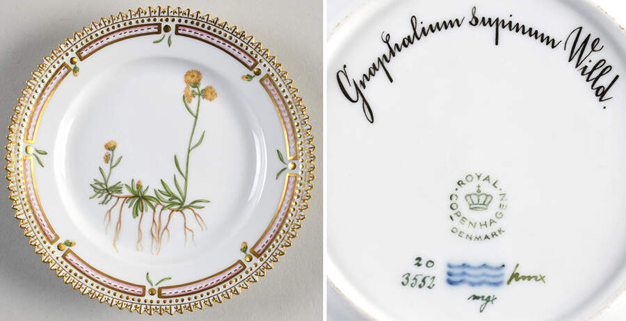 Flora Danica (1961 To Current) Bread & Butter Plate-Gnaphalium supinum Willd. by Royal Copenhagen-1