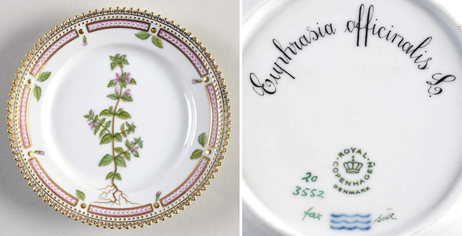 Flora Danica (1961 To Current) Bread & Butter Plate-Euphrasia officinalis L. by Royal Copenhagen-1