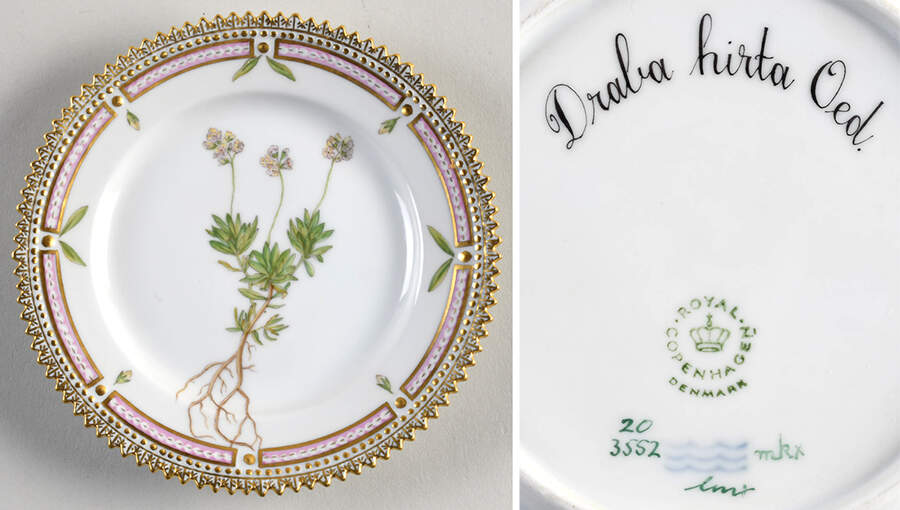 Flora Danica (1961 To Current) Bread & Butter Plate-Draba hirta Oed. by Royal Copenhagen-1