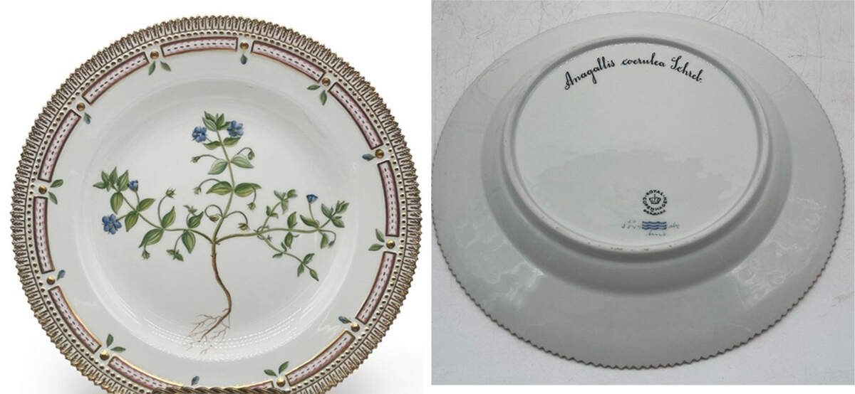 Flora Danica (1961 To Current) Dinner Plate-Anagallis coerulea Schrob by Royal Copenhagen-1