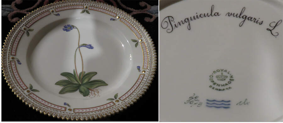 Flora Danica (1961 To Current) Salad Plate-Pinguicula vulgaris L by Royal Copenhagen-1