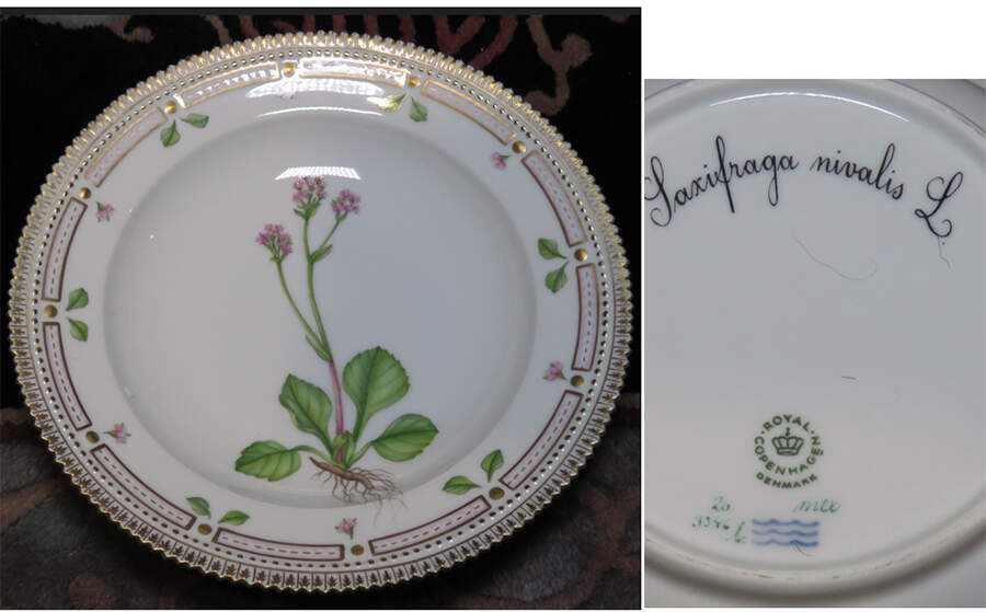 Flora Danica (1961 To Current) Rim Soup Bowl-Saxifraga nivalis L by Royal Copenhagen-1