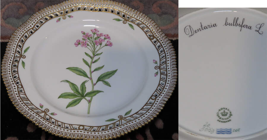 Flora Danica (1961 To Current) 10" Pierced Dinner Plate/Fruit Std-Dentaria bulbifera L by Royal Copenhagen-1
