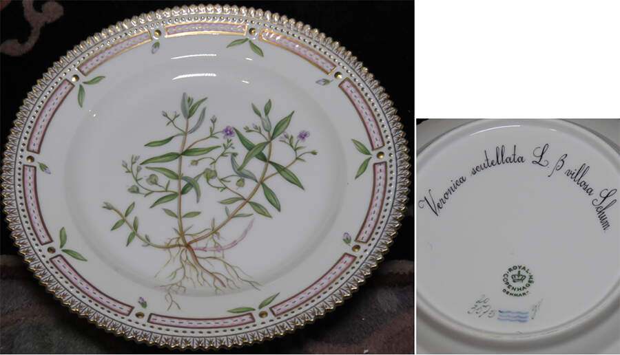 Flora Danica (1961 To Current) Salad Plate-Veronica scutellata L B villosa Schum by Royal Copenhagen-1