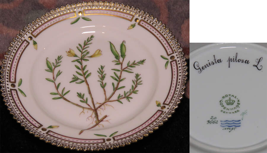 Flora Danica (1961 To Current) Bread & Butter Plate-Genista pilosa L. by Royal Copenhagen-1
