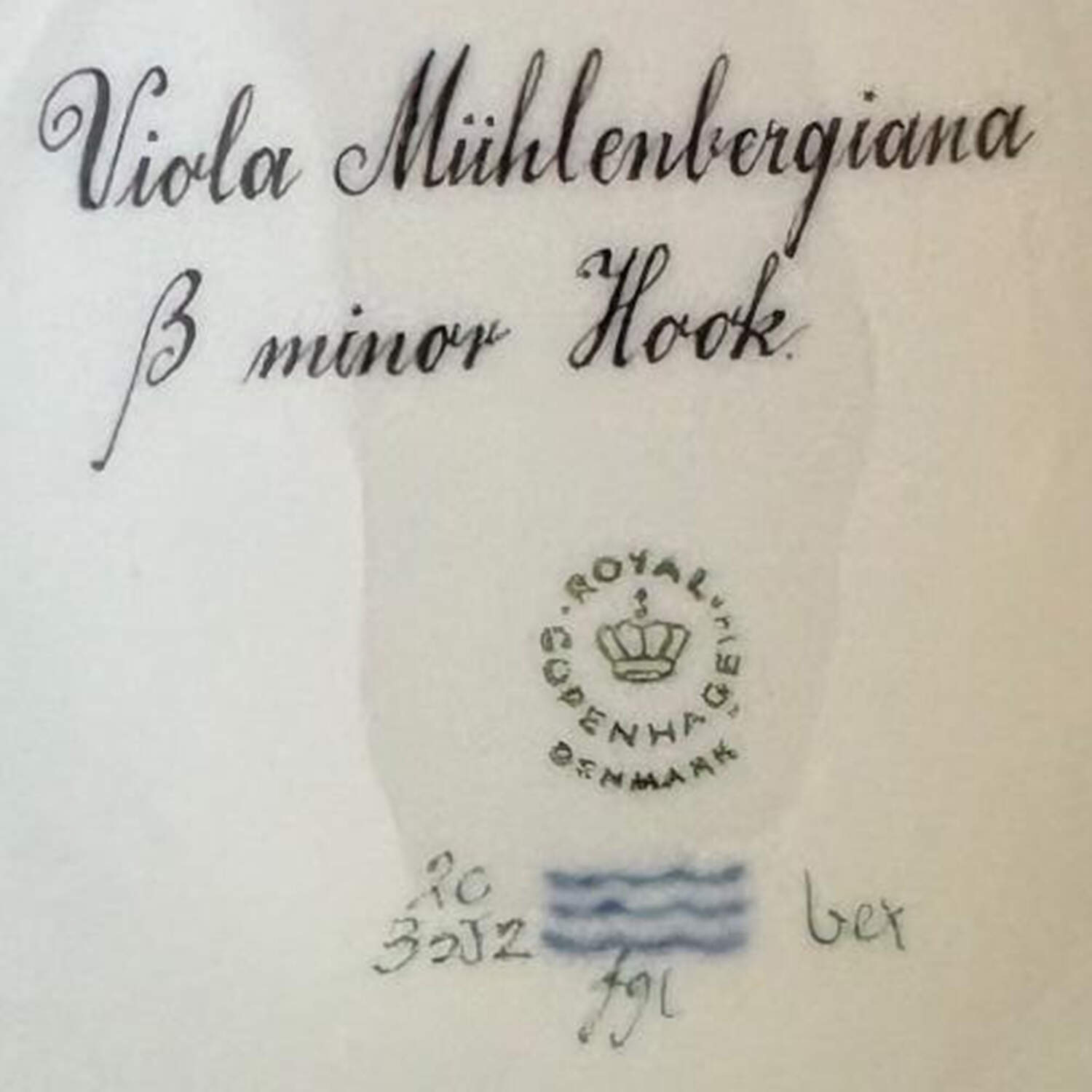 Flora Danica (1961 To Current) Large Sugar Bowl & Lid-Viola Muhlenbergiana B minor Hook by Royal Copenhagen-1