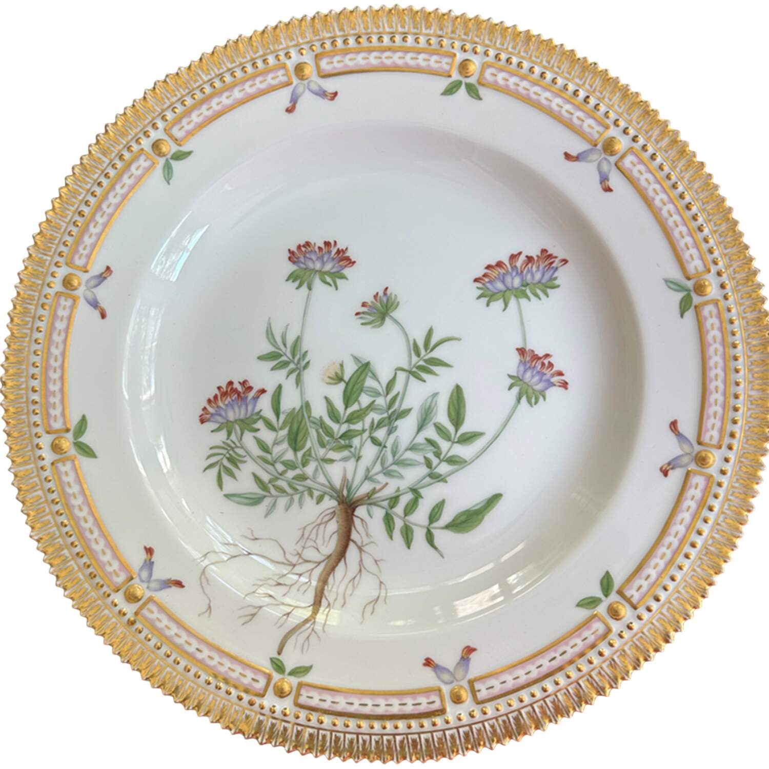 Flora Danica (1961 To Current) Dinner Plate-Anthyllis vulneraria var rubriflora DC by Royal Copenhagen-1