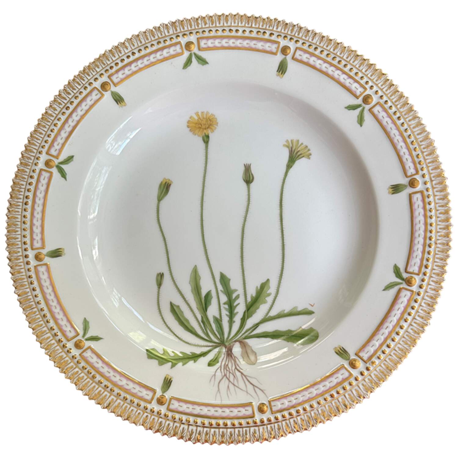 Flora Danica (1961 To Current) Dinner Plate-Thrincia hirta Rath by Royal Copenhagen-1