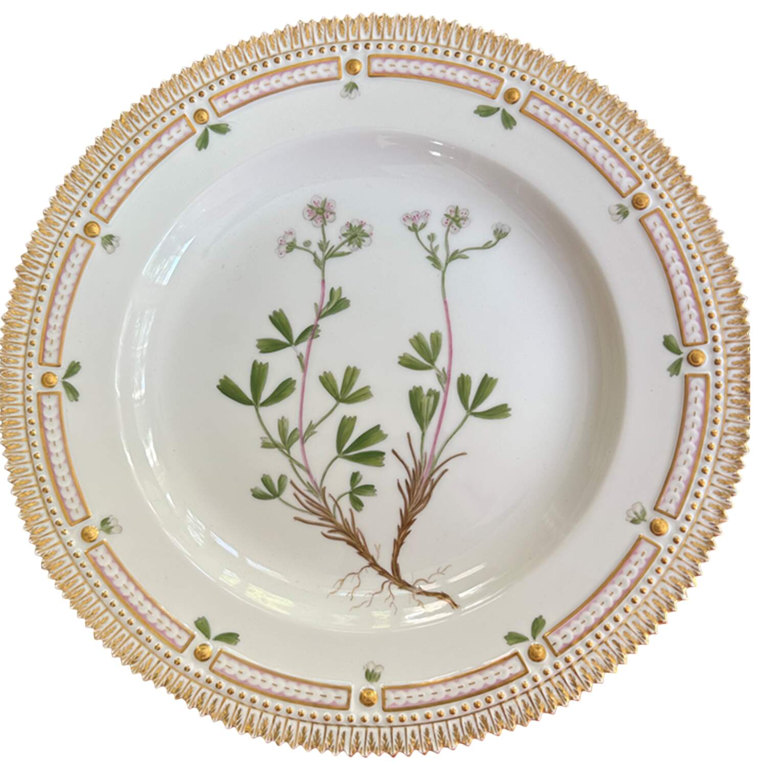 Flora Danica (1961 To Current) Dinner Plate-Potentilla Tridentata Sol by Royal Copenhagen-1