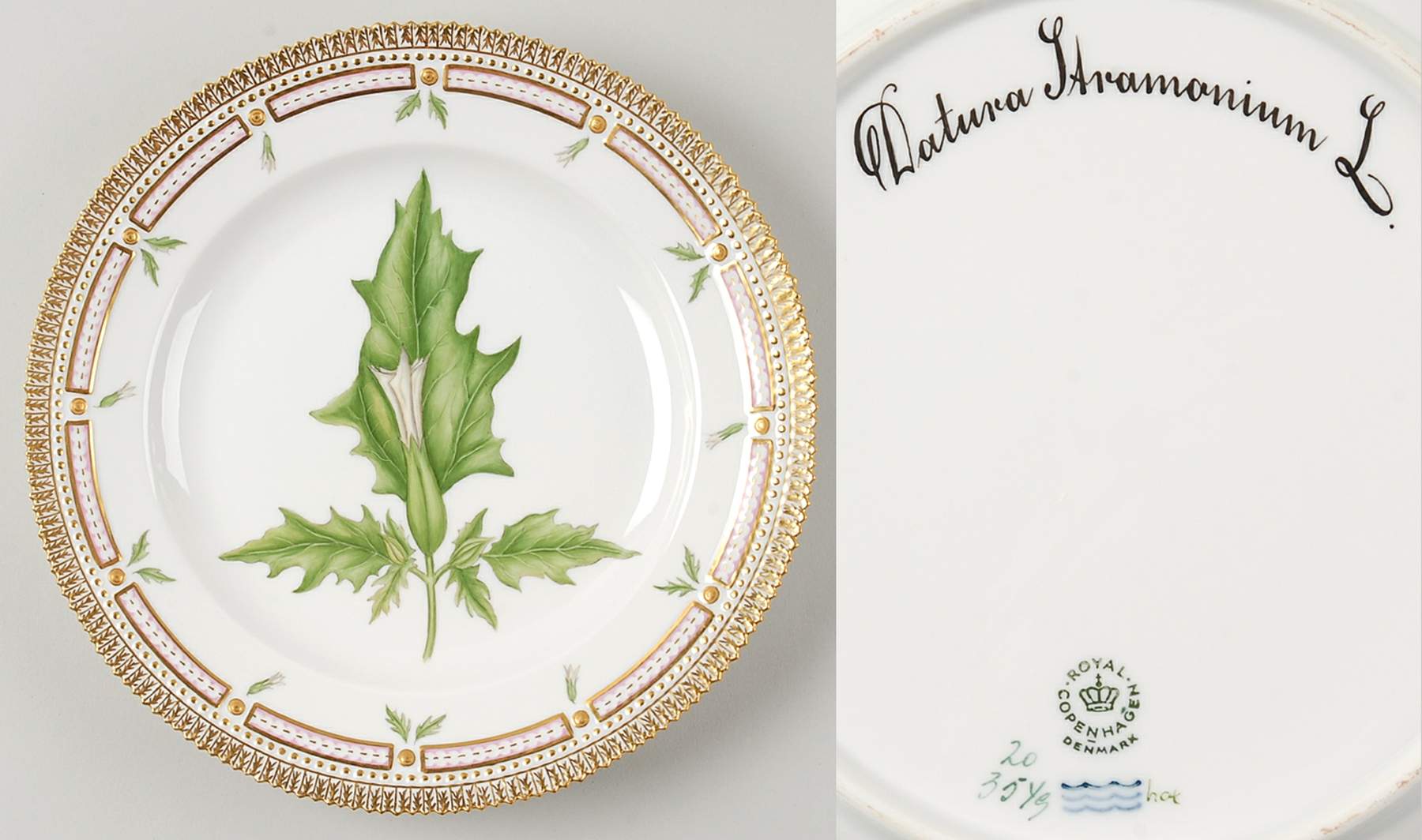 Flora Danica (1961 To Current) Dinner Plate-Datura Stramonium L by Royal Copenhagen-1
