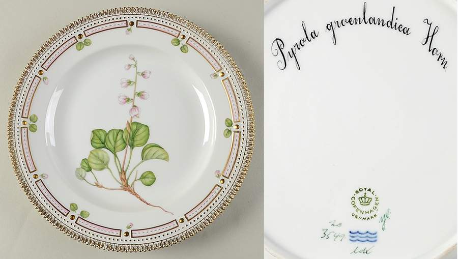 Flora Danica (1961 To Current) Dinner Plate-Pyrola groeenlandica Horn. by Royal Copenhagen-1