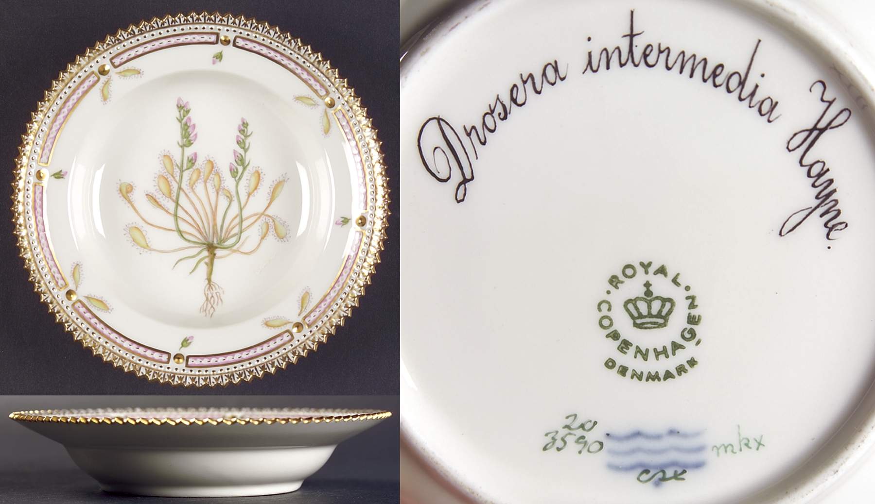 Flora Danica (1961 To Current) Rim Fruit/Soup Bowl-Drosera intermedia Hayne by Royal Copenhagen-1