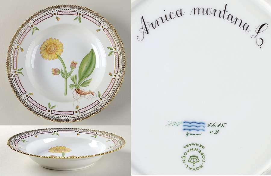 Flora Danica (1961 To Current) Large Rim Soup Bowl-Arnica montana L. by Royal Copenhagen-1