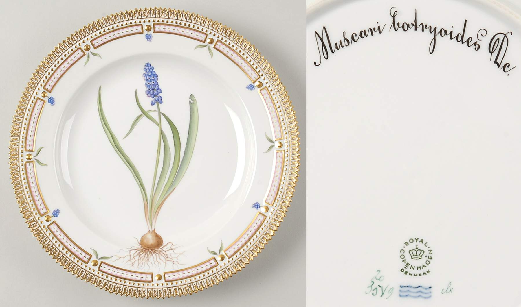 Flora Danica (1961 To Current) Dinner Plate-Muscari botryoides Dc by Royal Copenhagen-1