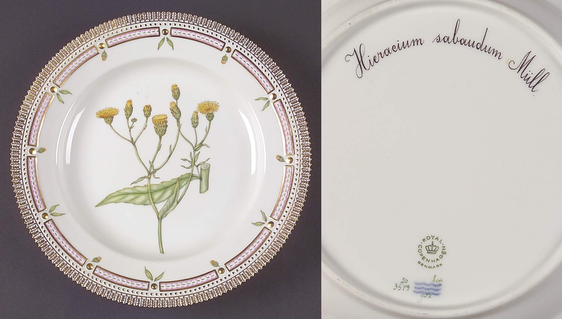 Flora Danica (1961 To Current) Dinner Plate-Hieracium sabaudum Mull by Royal Copenhagen-1