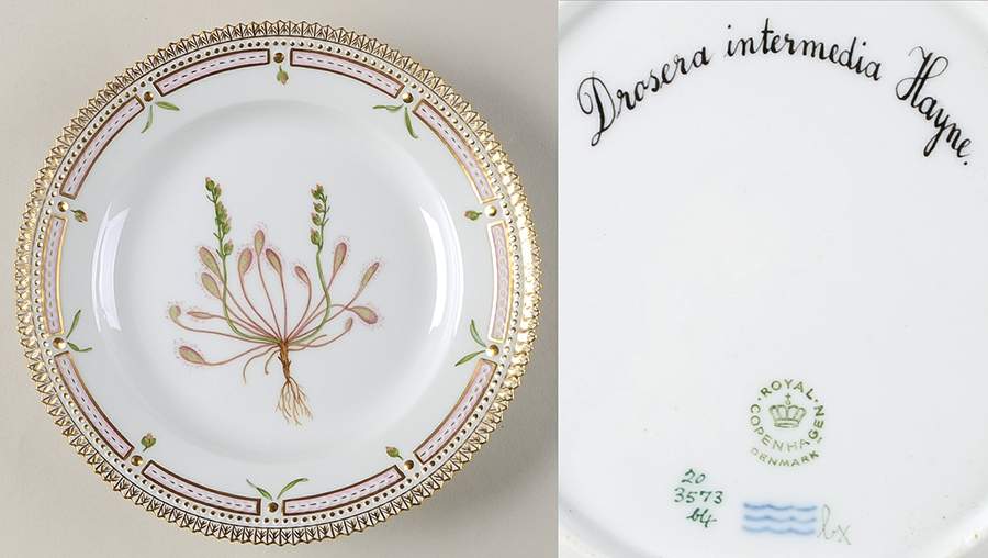Flora Danica (1961 To Current) Salad Plate-Drosera intermedia Hayne by Royal Copenhagen-1