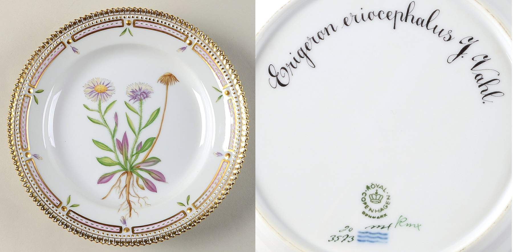 Flora Danica (1961 To Current) Salad Plate-Erigeron eriocephalus J Vahl by Royal Copenhagen-1