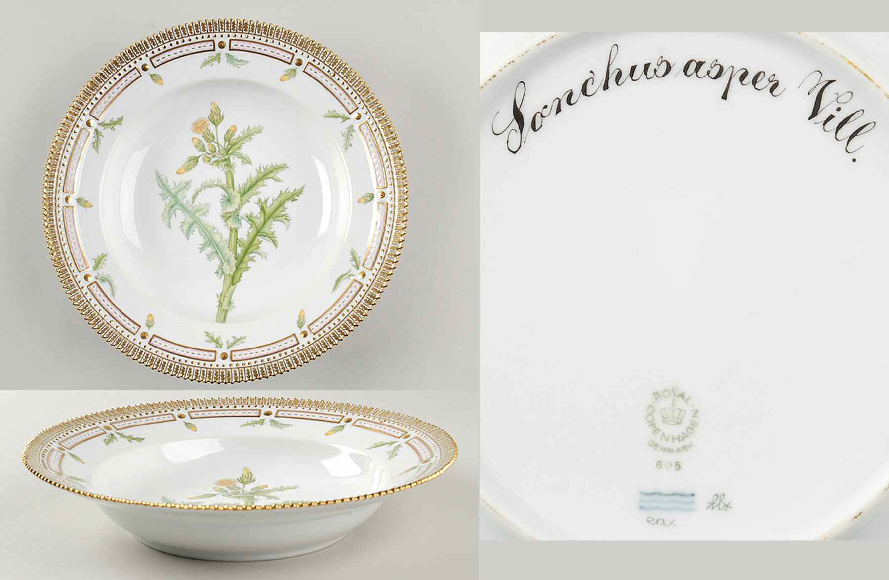 Flora Danica (1961 To Current) Large Rim Soup Bowl-Sonchus asper Vill by Royal Copenhagen-1