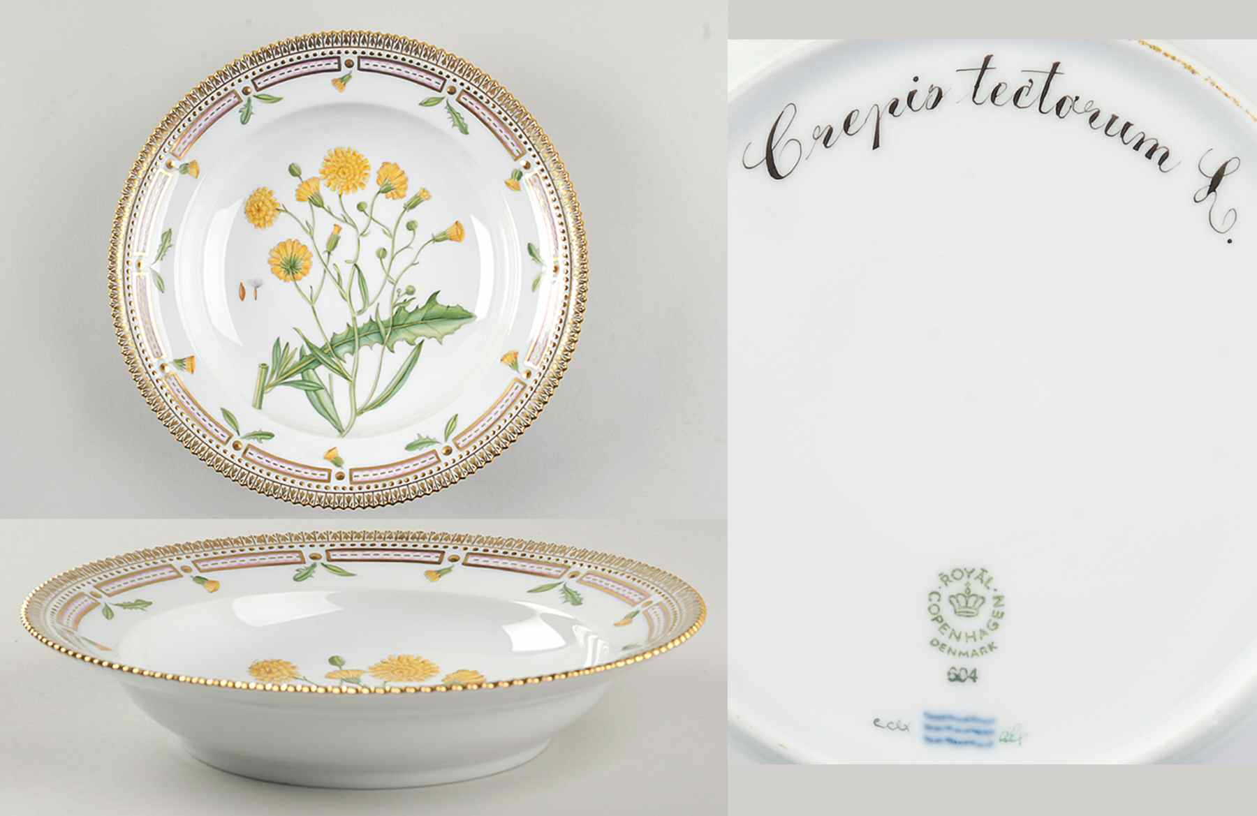 Flora Danica (1961 To Current) Rim Soup Bowl-Crepis tectorum L by Royal Copenhagen-1