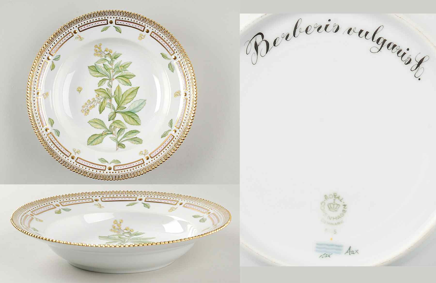 Flora Danica (1961 To Current) Large Rim Soup Bowl-Berberis vulgaris L by Royal Copenhagen-1