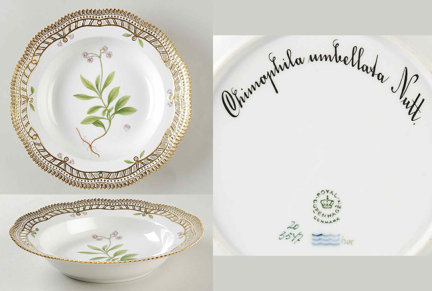 Flora Danica (1961 To Current) Pierced Large Rim Soup Bowl-Chimaphila umbellata N by Royal Copenhagen-1