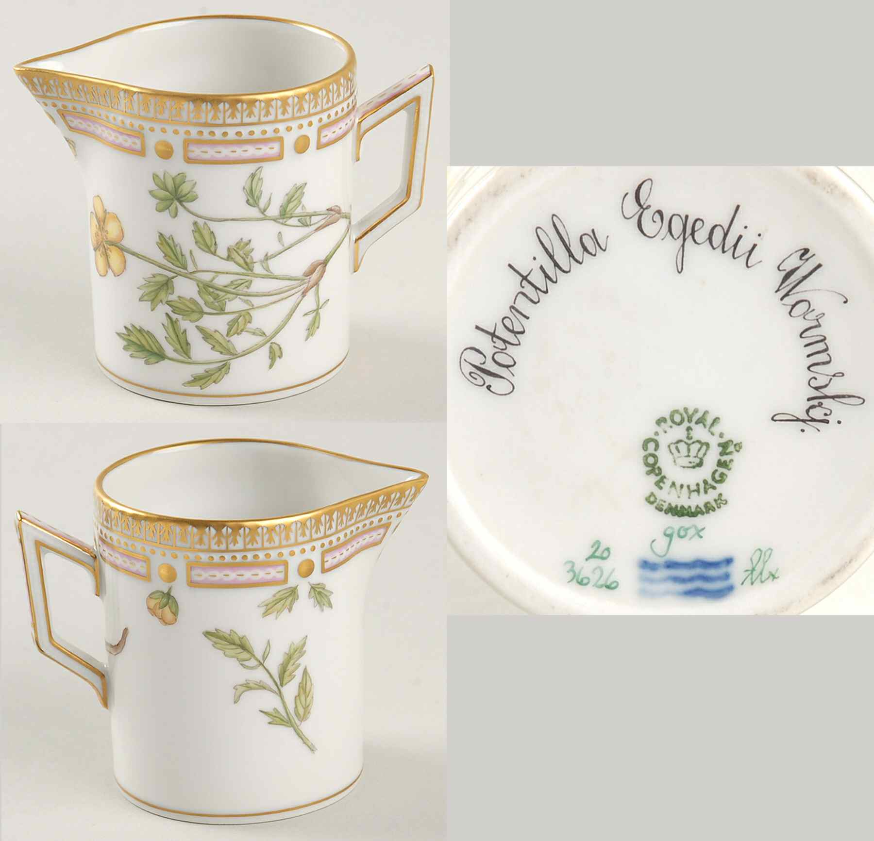 Flora Danica (1961 To Current) Creamer-Potentilla Egedii Wormskj by Royal Copenhagen-1