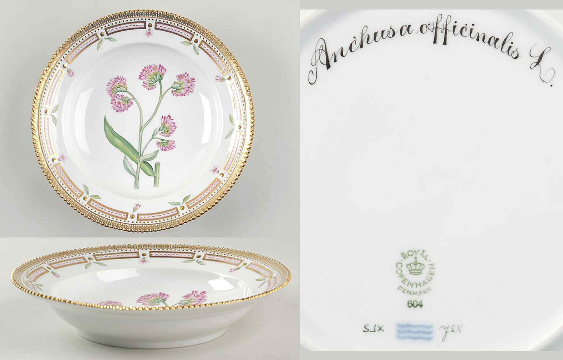 Flora Danica (1961 To Current) Rim Soup Bowl-Anchusa officinalis L by Royal Copenhagen-1