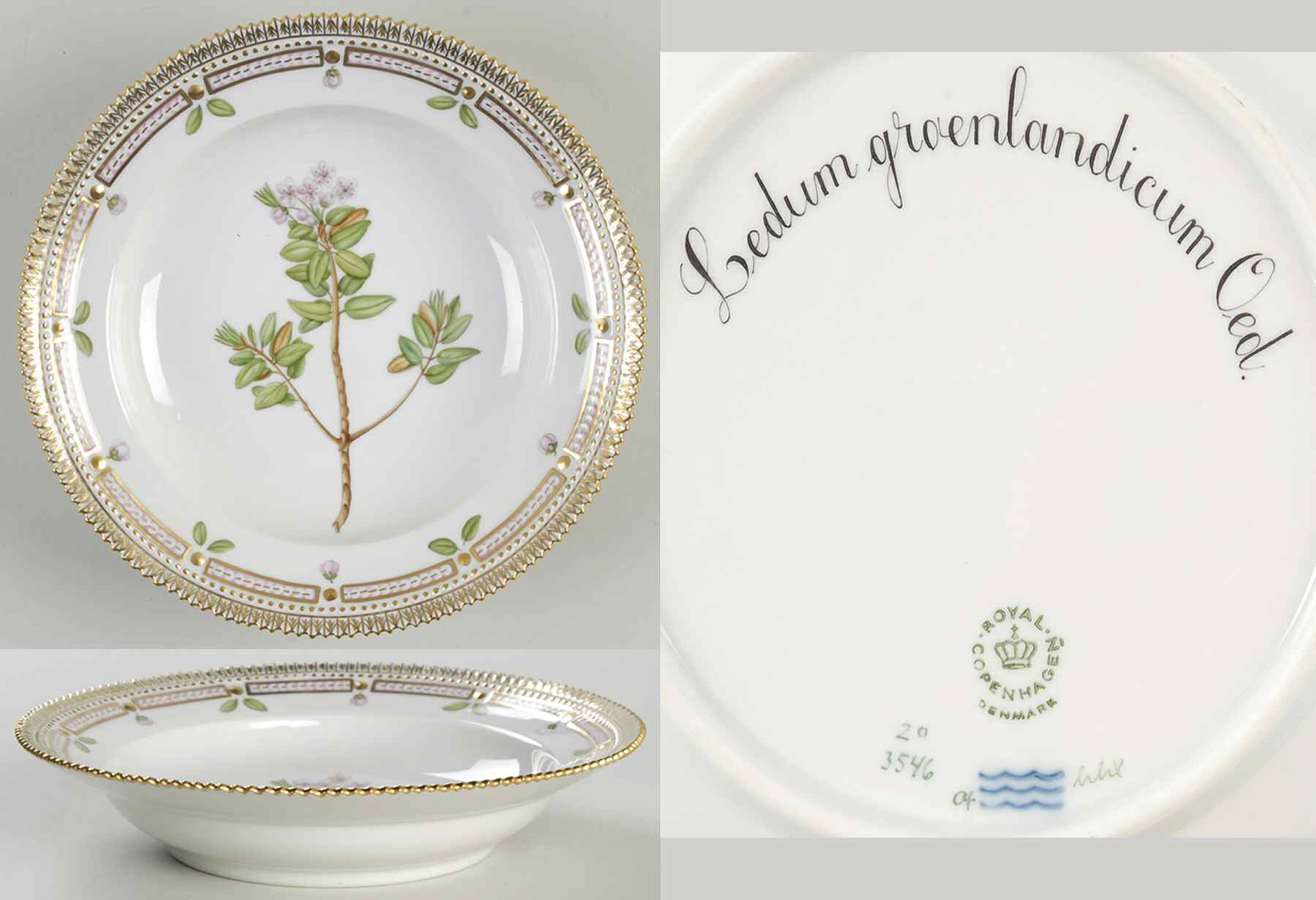 Flora Danica (1961 To Current) Rim Soup Bowl-Ledum groenlandicum Oed by Royal Copenhagen-1