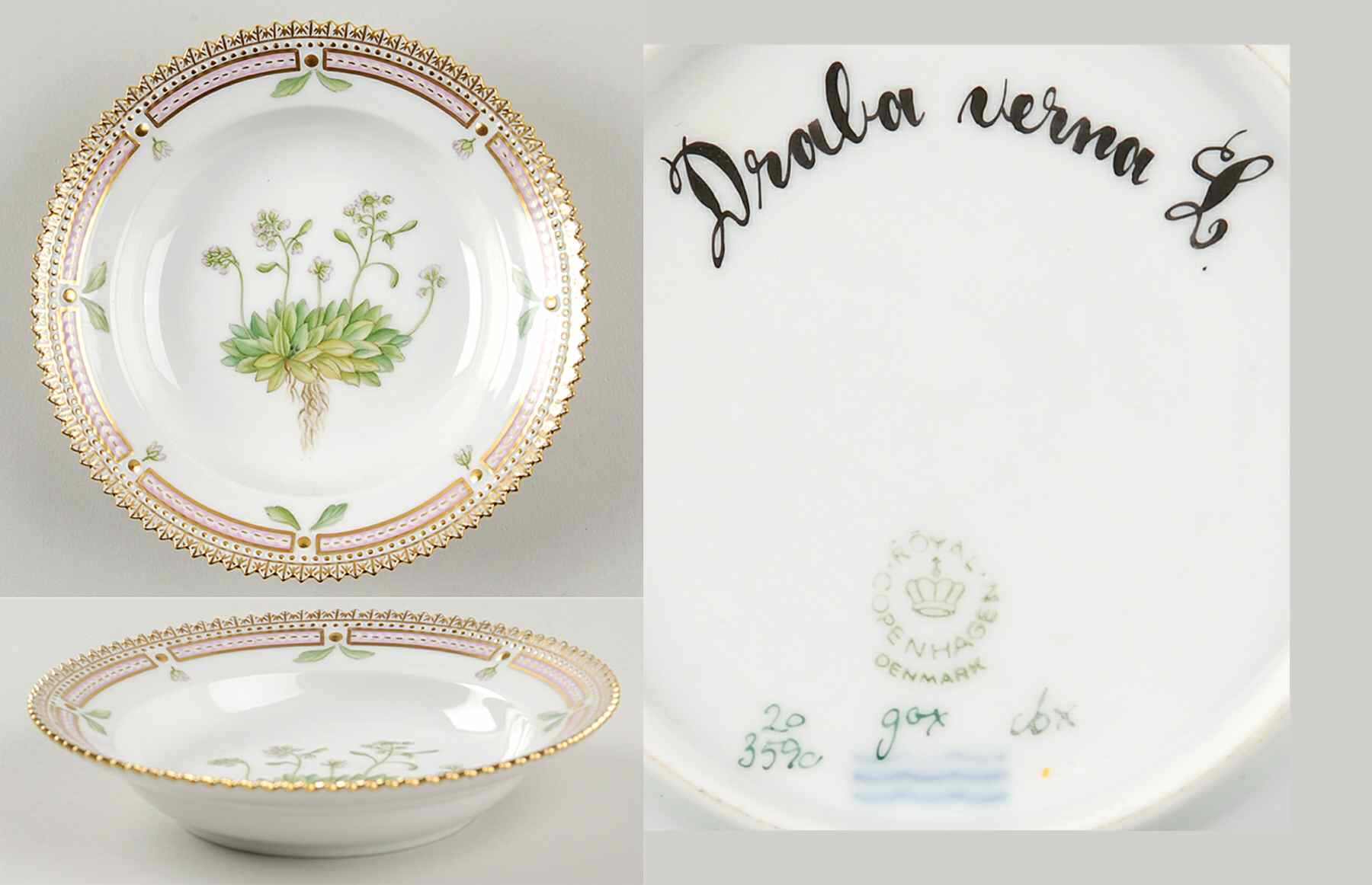Flora Danica (1961 To Current) Rim Fruit/Soup Bowl-Draba verna L by Royal Copenhagen-1