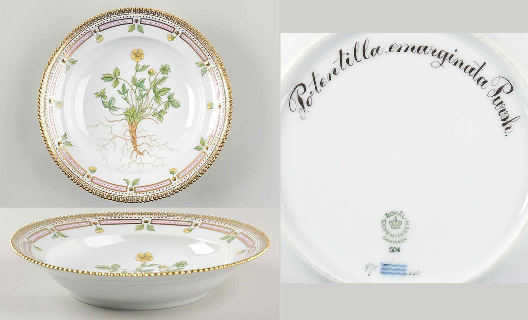 Flora Danica (1961 To Current) Rim Soup Bowl-Potentilla emarginata Pursh by Royal Copenhagen-1