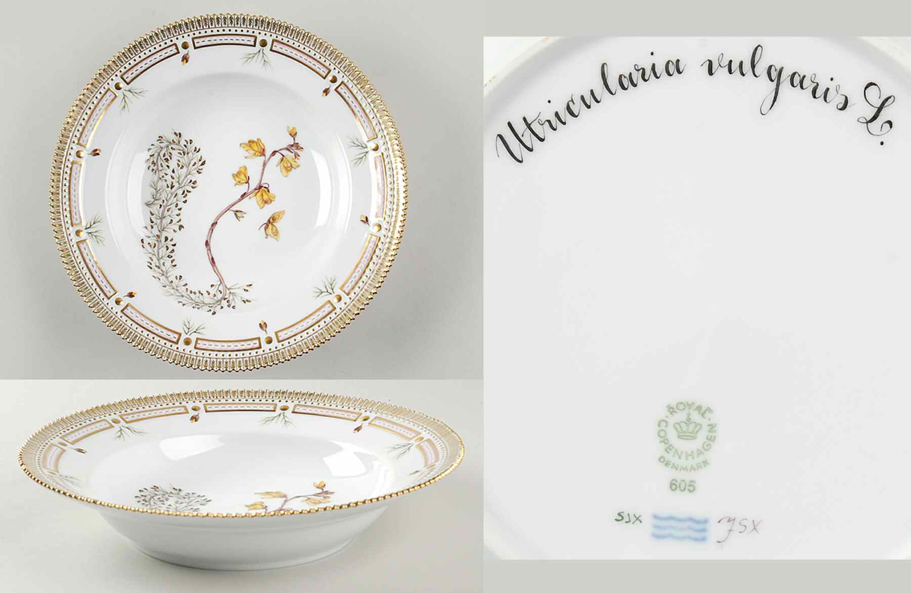 Flora Danica (1961 To Current) Large Rim Soup Bowl-Utricularia vulgaris L by Royal Copenhagen-1