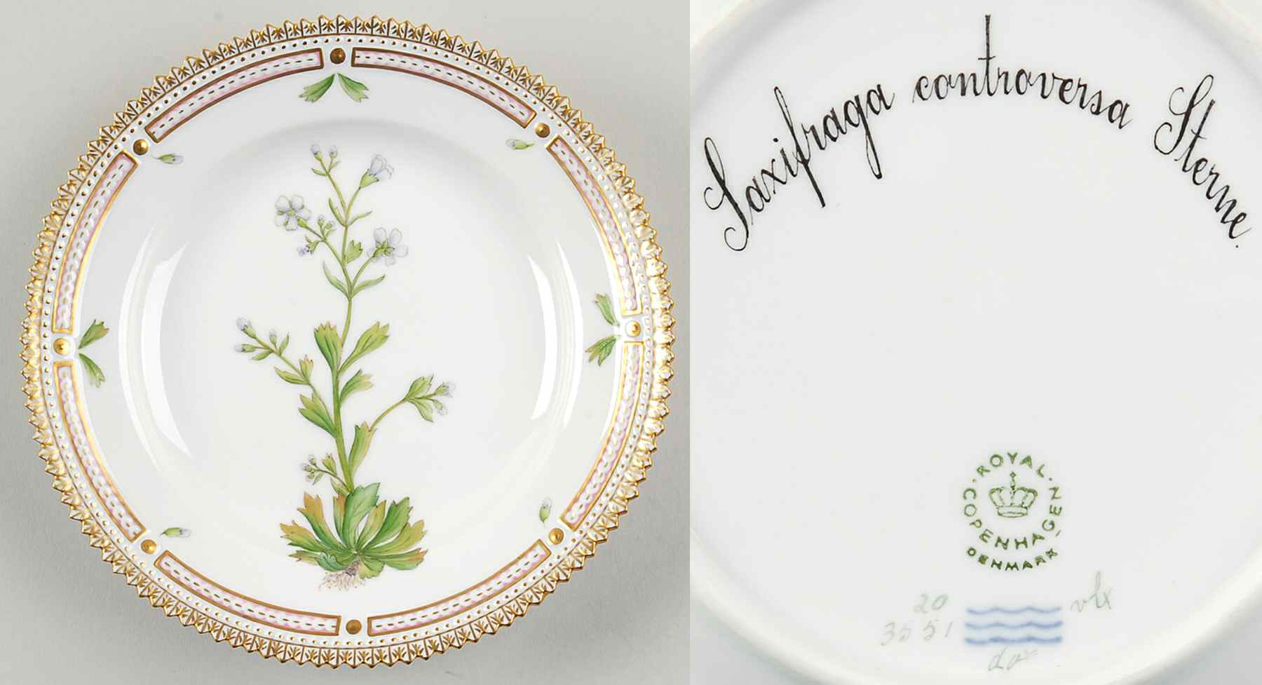 Flora Danica (1961 To Current) Dessert/Pie Plate-Saxifraga controversa Sternb by Royal Copenhagen-1