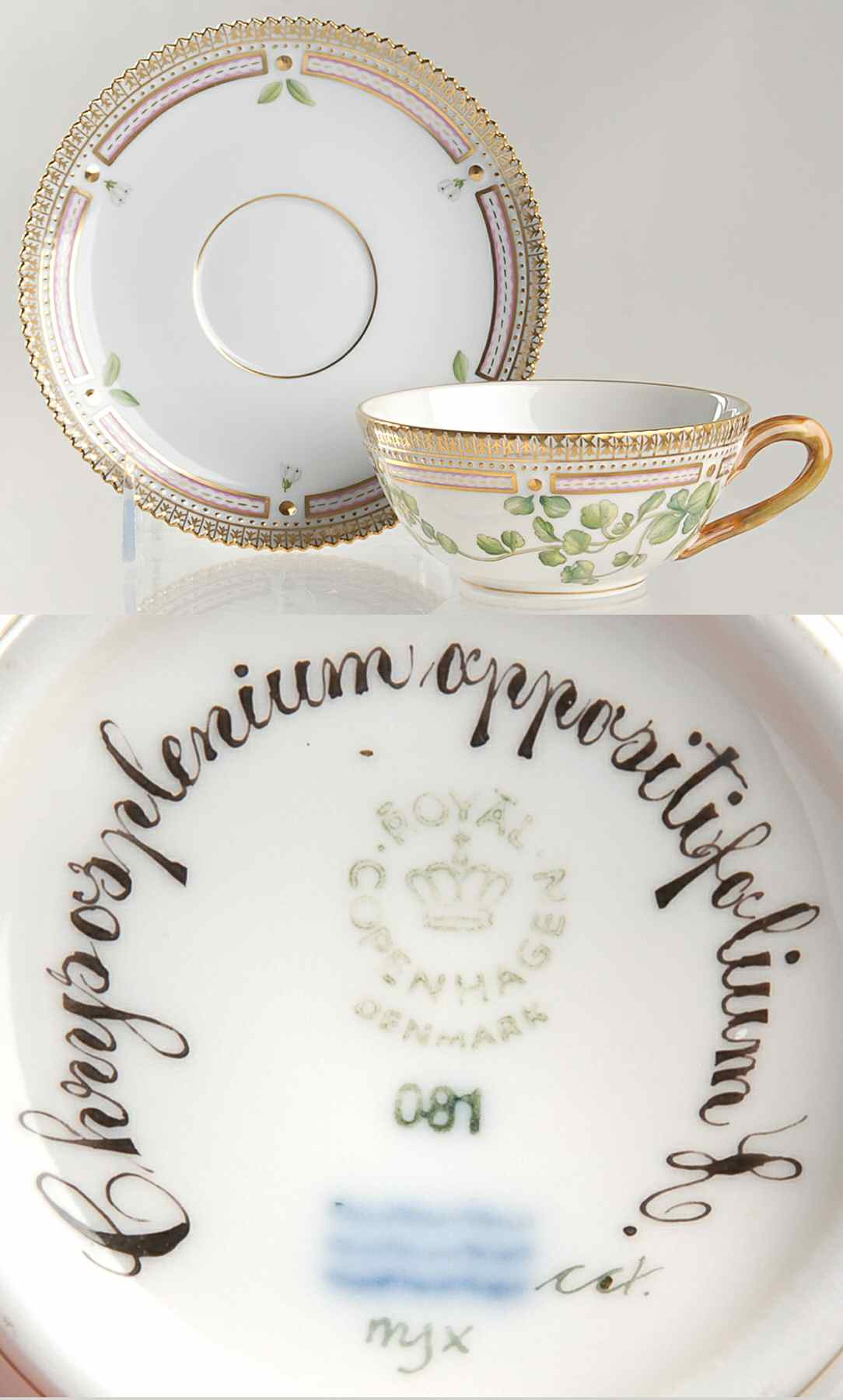 Flora Danica (1961 To Current) Flat Tea Cup & Saucer Set-Chrysosplenium oppositif by Royal Copenhagen-1