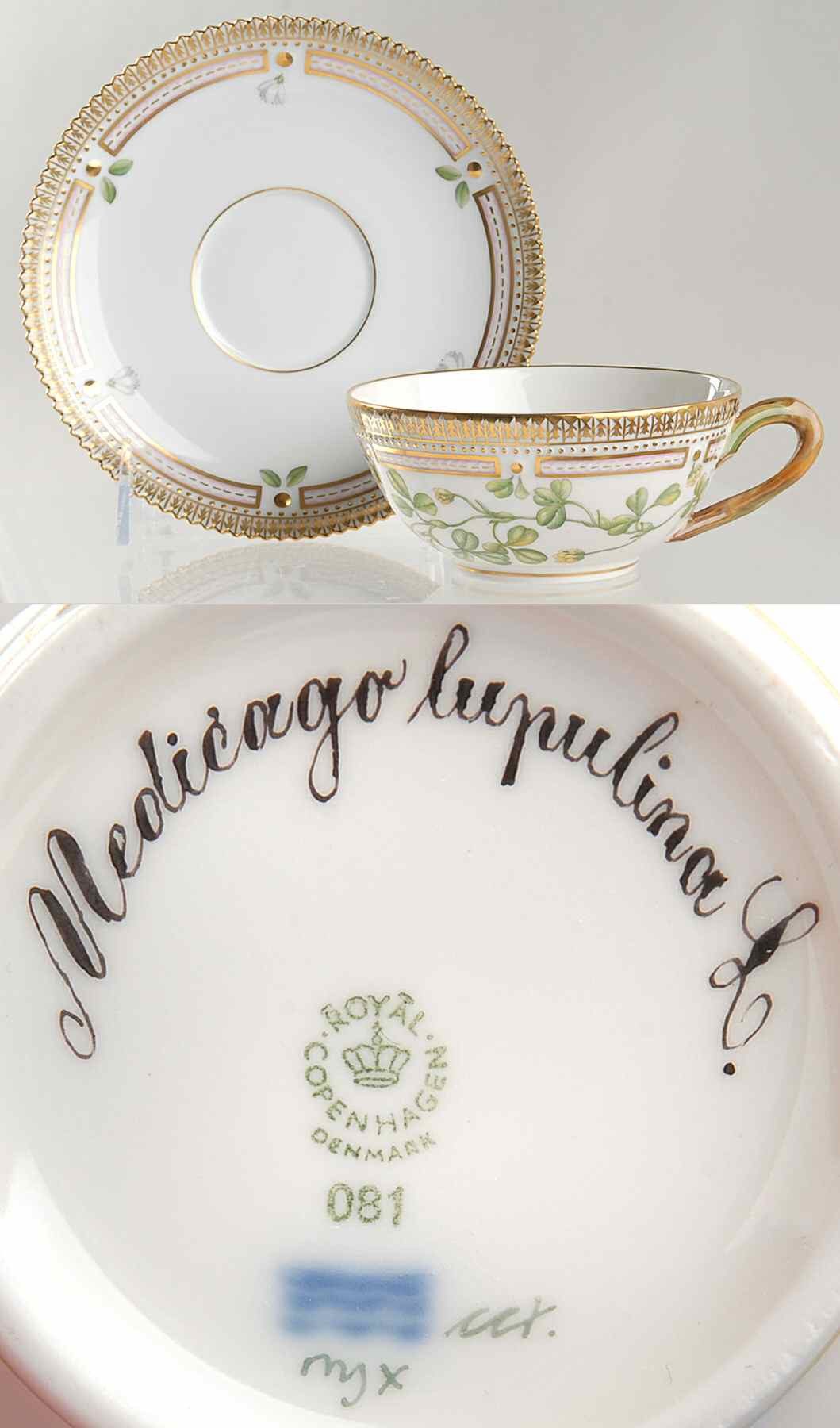 Flora Danica (1961 To Current) Flat Tea Cup & Saucer Set-Medicago lupulina L by Royal Copenhagen-1