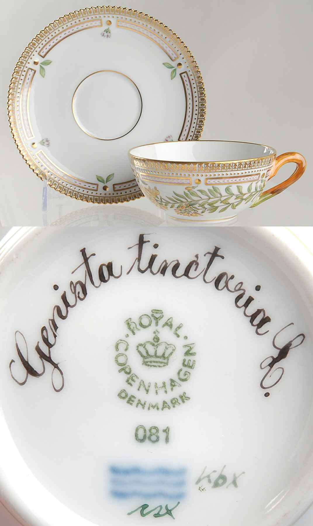 Flora Danica (1961 To Current) Flat Tea Cup & Saucer Set-Genista tinctoria L by Royal Copenhagen-1