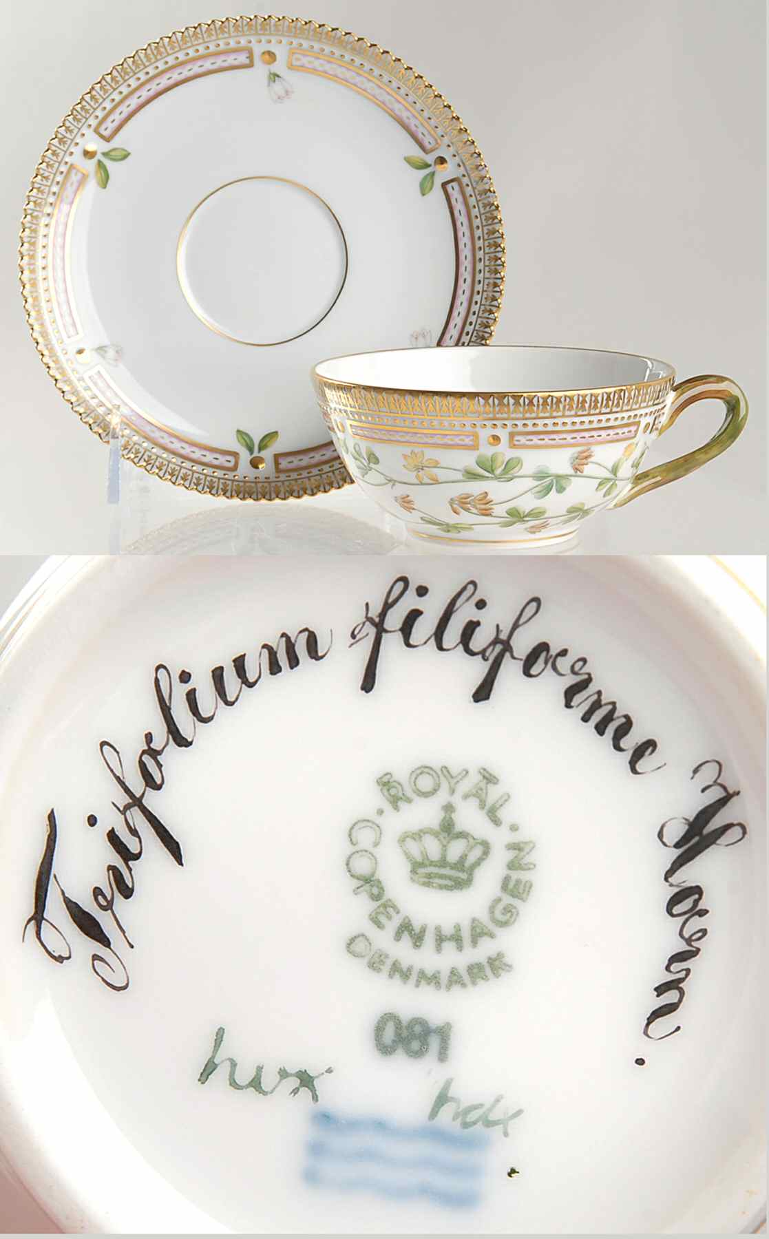 Flora Danica (1961 To Current) Flat Tea Cup & Saucer Set-Trifolium filiforme Horn by Royal Copenhagen-1